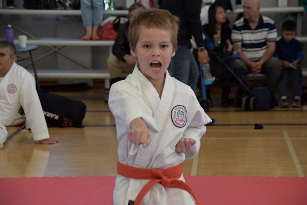 GKR Karate NSW State Titles Action