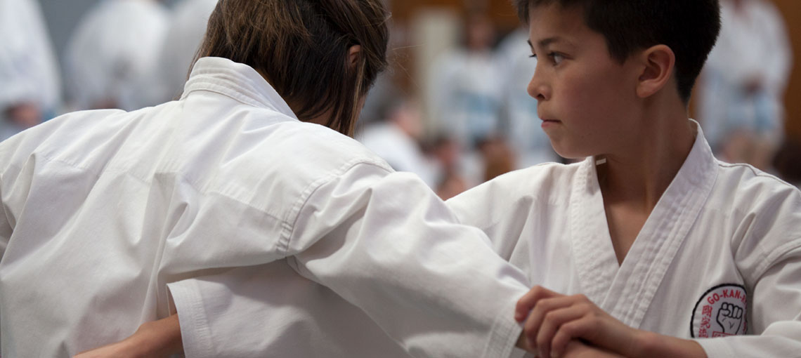 GKR Karate Seminar