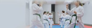 a group of karate students performing together. they are all wearing different coloured belts