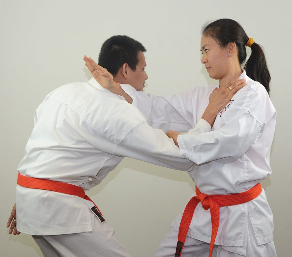 Self Defence Within the Law GKR Karate