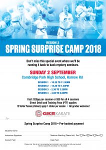 GKR Karate flyer for Region 2 spring surprise camp