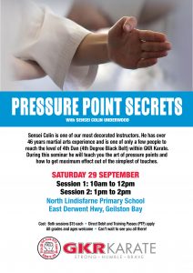 Tasmanian Karate Pressure Points Secrets Flyer