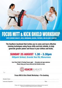 new zealand focus mitt and kick shield workshop