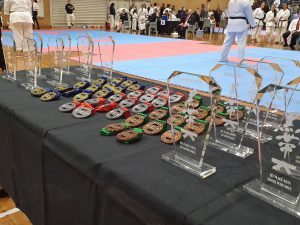 Image related to NSW's Second Black Belt Open