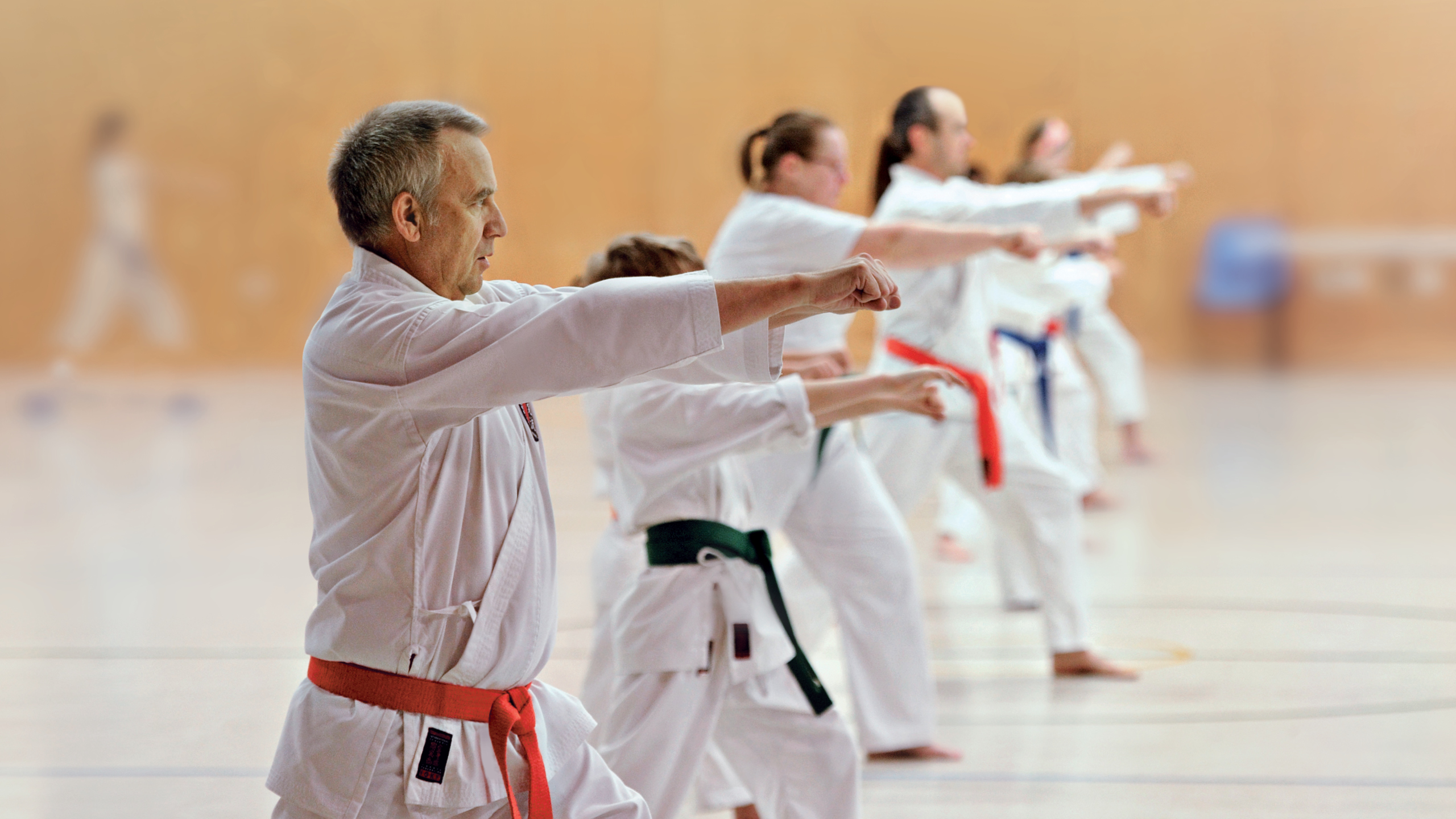 GKR Karate Stafford North GKR Karate