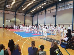a crowd of spectators watch karate students