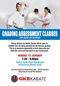 queensland grading assessment classes with sensei ray bettridge