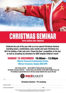 UK Christmas Seminar with Sensei Amy Ginders