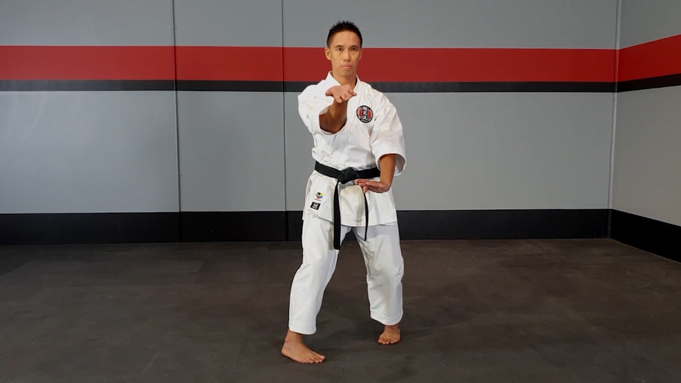 kata training videos
