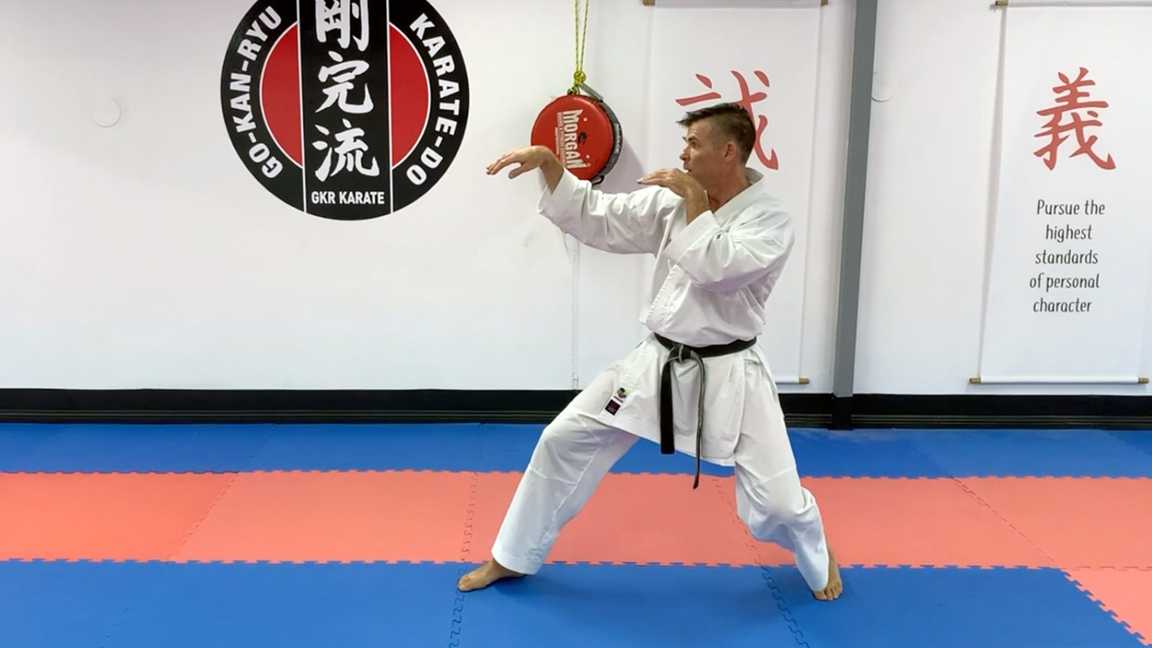 The Five Animal Styles that Influenced Karate | GKR Karate
