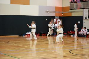 a group of students performing karate moves