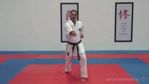 man performing a karate stance on gkr karate online training