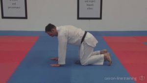 sensei jason knight