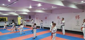 Narellan Prime Dojo 6