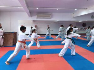 Narellan Prime Dojo 3