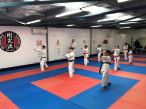 Narellan Prime Dojo 4