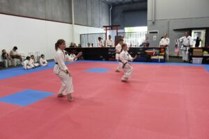 students performing karate moves in a dojo