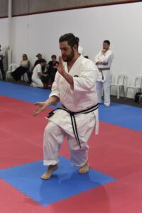 man performing a karate stance