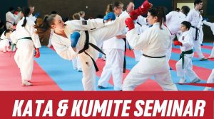 kata and kumite seminar