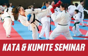 uk kata and kumite seminar