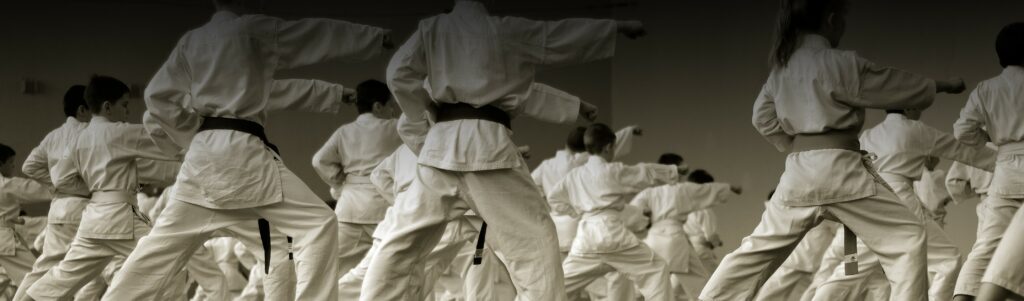 karate students wearing a black belt all perform the same move